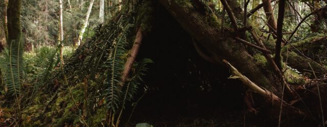 Primitivt shelter i skoven
